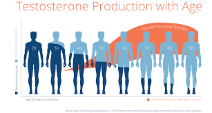 The Multifaceted Influence of Testosterone on Men's Health: A Comprehensive Exploration